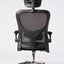 Ergonomic Office Chair with Headrest & Adjustable Armrests