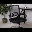 Ergonomic Mesh Office Chair with Lumbar Support