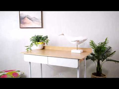 Elegant Computer Desk with 2 Drawers